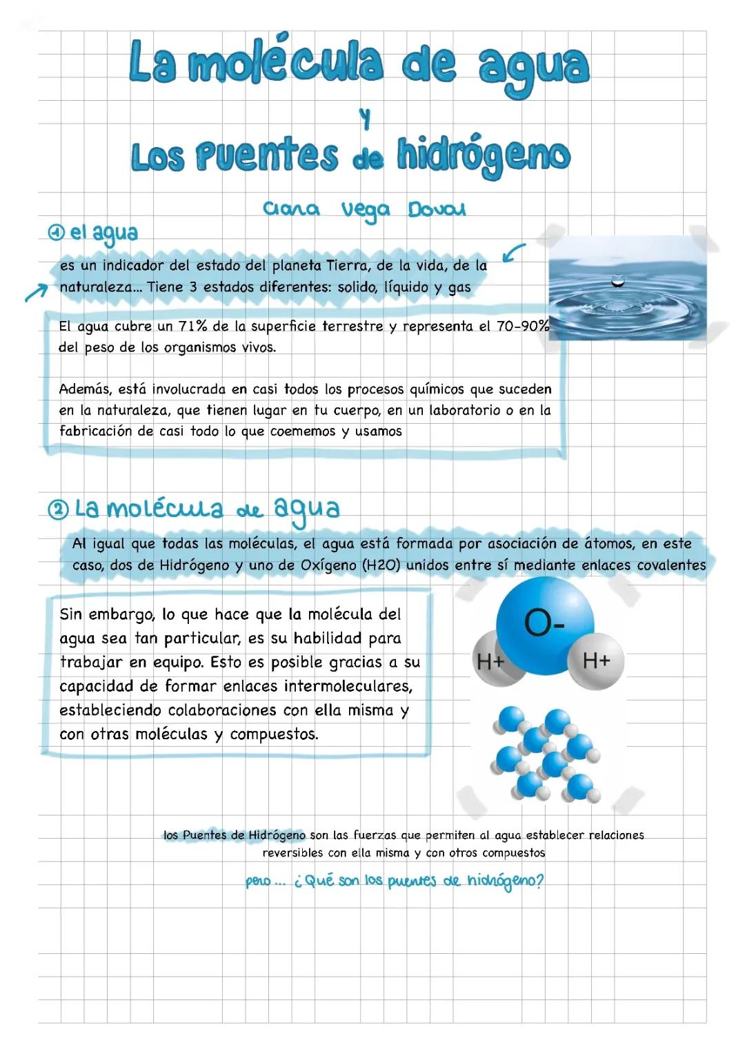 L a molécula de agua y los puentes de hidrógeno 3° ESO