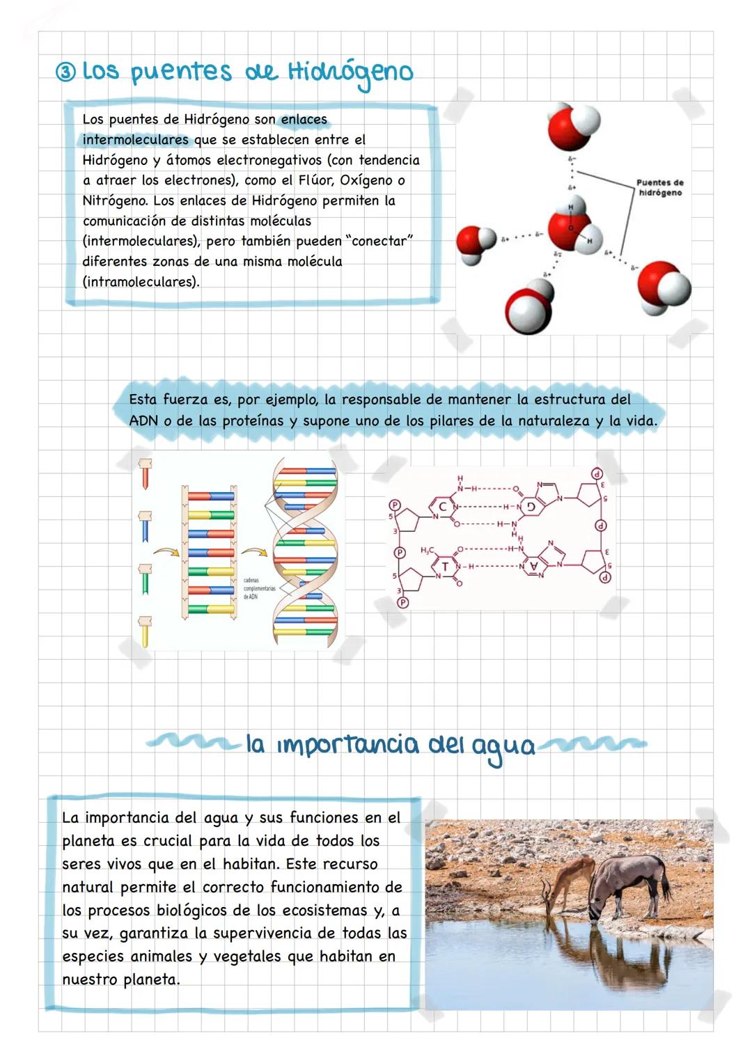 La molécula de agua
Y
Los Puentes de hidrógeno
ciana Vega Doval
el agua
es un indicador del estado del planeta Tierra, de la vida, de la
nat