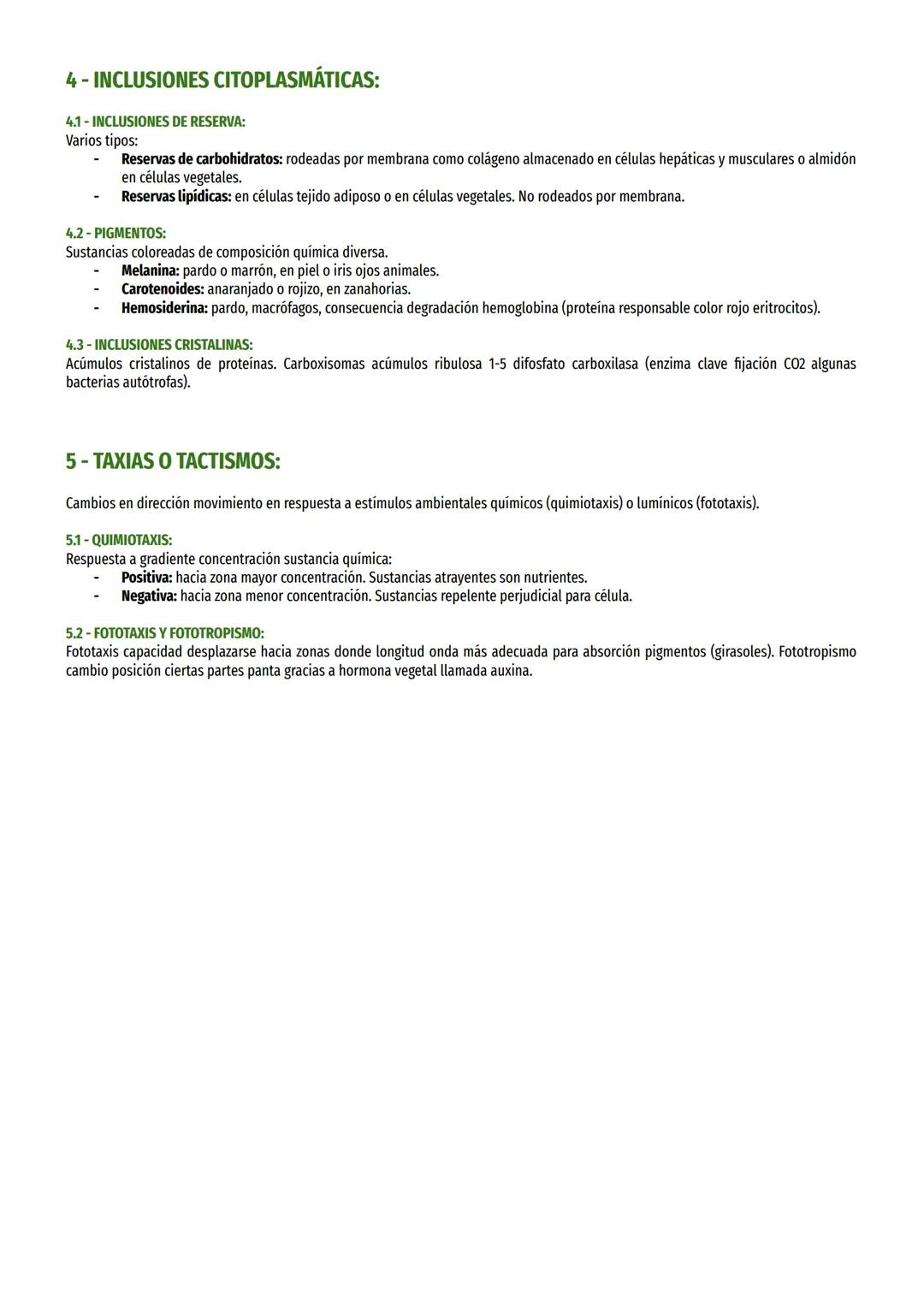 TEMA 7-ORGÁNULOS NO MEMBRANOSOS:
1- PARED CELULAR Y GLICOCÁLIX:
1.1 -PARED CELULAR VEGETAL:
Funciones:
Confiere estructura rígida y contribu
