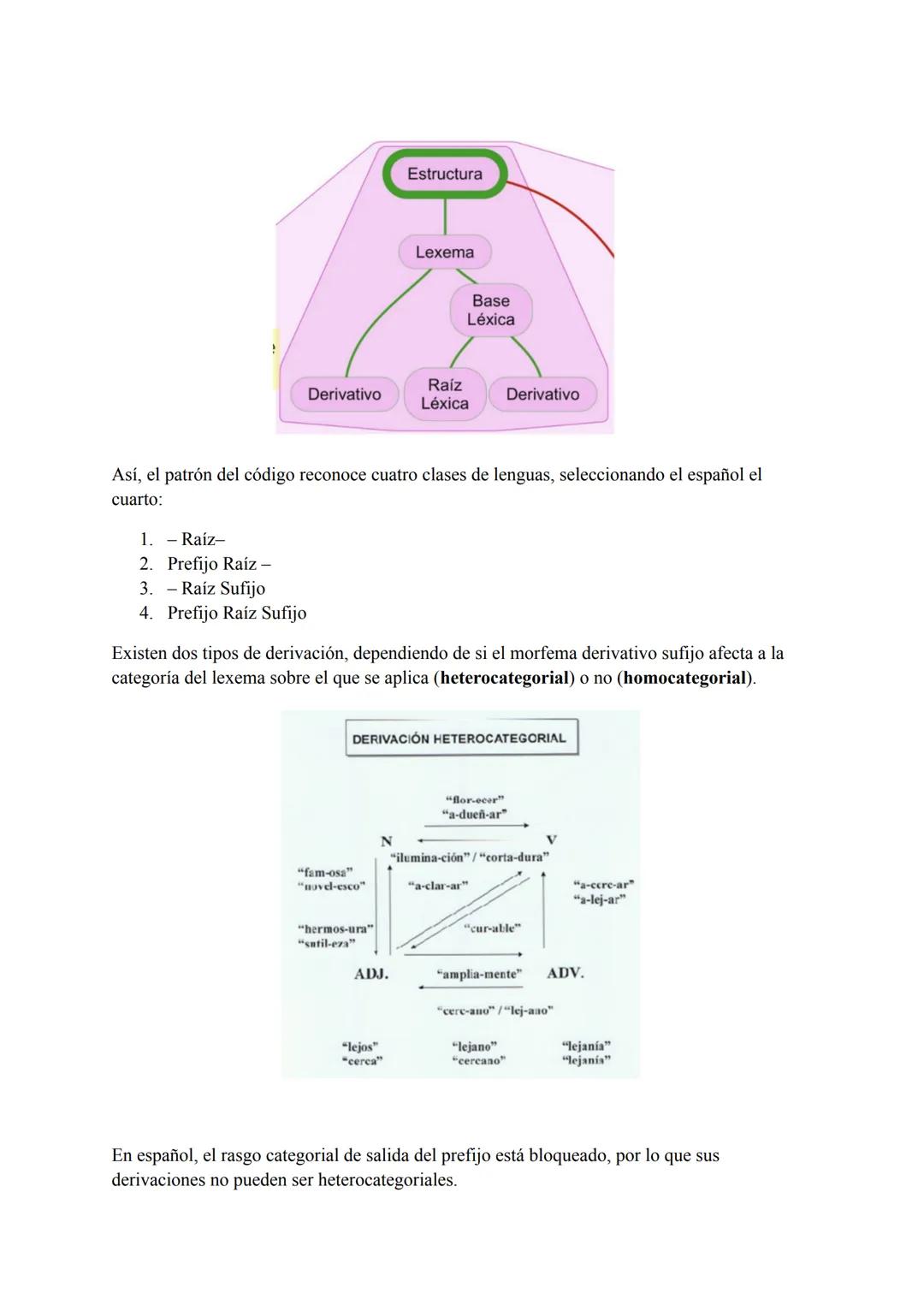 Tema 3: Módulo Léxico
Es el primer módulo perteneciente a la estructura máxima del código, encargado de gestionar
un contenido mental con si
