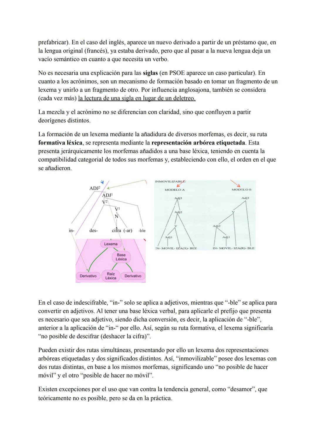 Tema 3: Módulo Léxico
Es el primer módulo perteneciente a la estructura máxima del código, encargado de gestionar
un contenido mental con si
