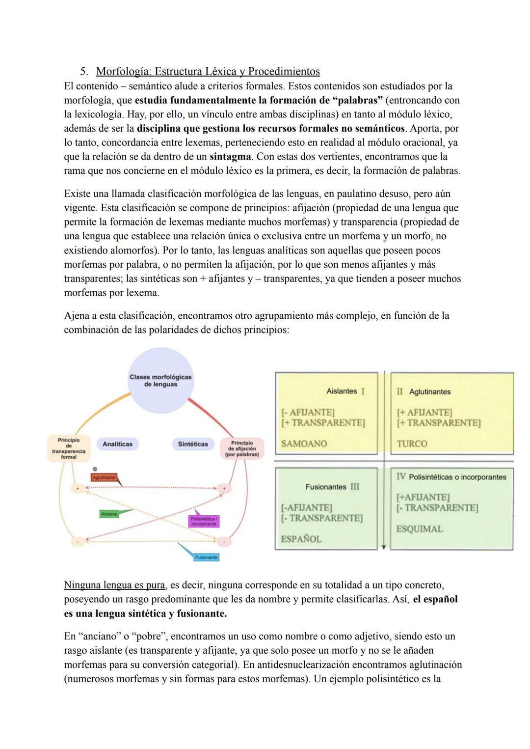 Tema 3: Módulo Léxico
Es el primer módulo perteneciente a la estructura máxima del código, encargado de gestionar
un contenido mental con si