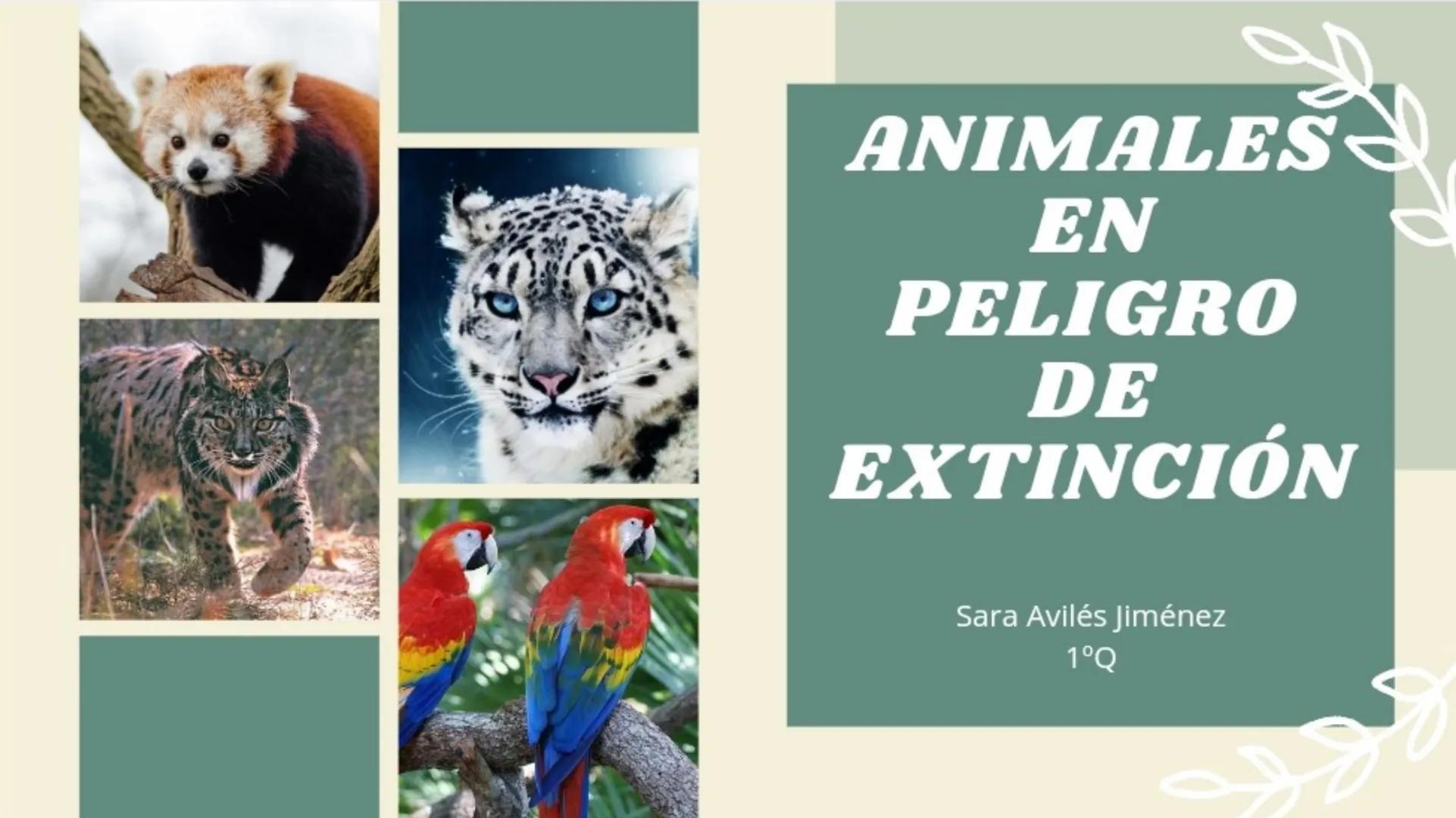 S
ANIMALES
EN
PELIGRO
DE
EXTINCIÓN
Sara Avilés Jiménez
1ºQ ÍNDICE
¿Qué es una especie en
peligro de extinción?
Causas
Conservación de especi