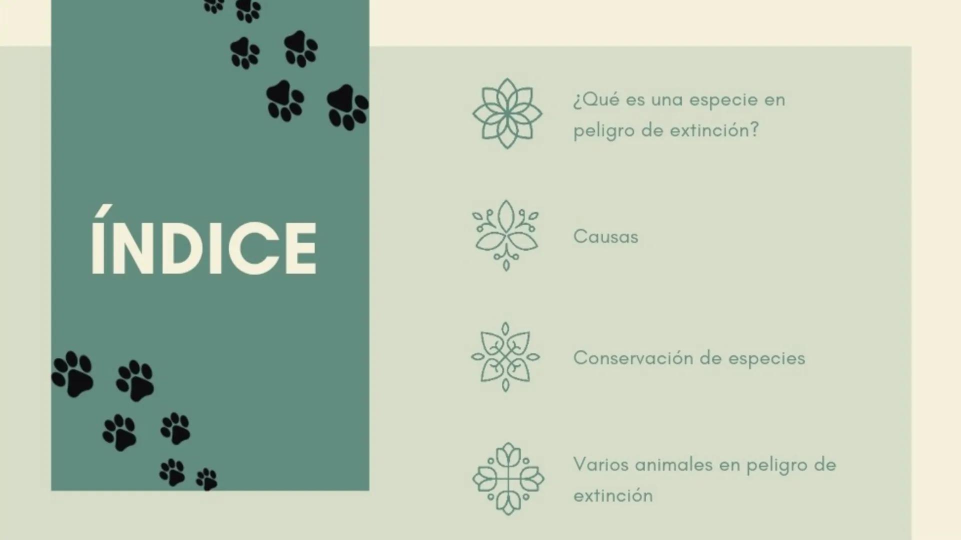 S
ANIMALES
EN
PELIGRO
DE
EXTINCIÓN
Sara Avilés Jiménez
1ºQ ÍNDICE
¿Qué es una especie en
peligro de extinción?
Causas
Conservación de especi