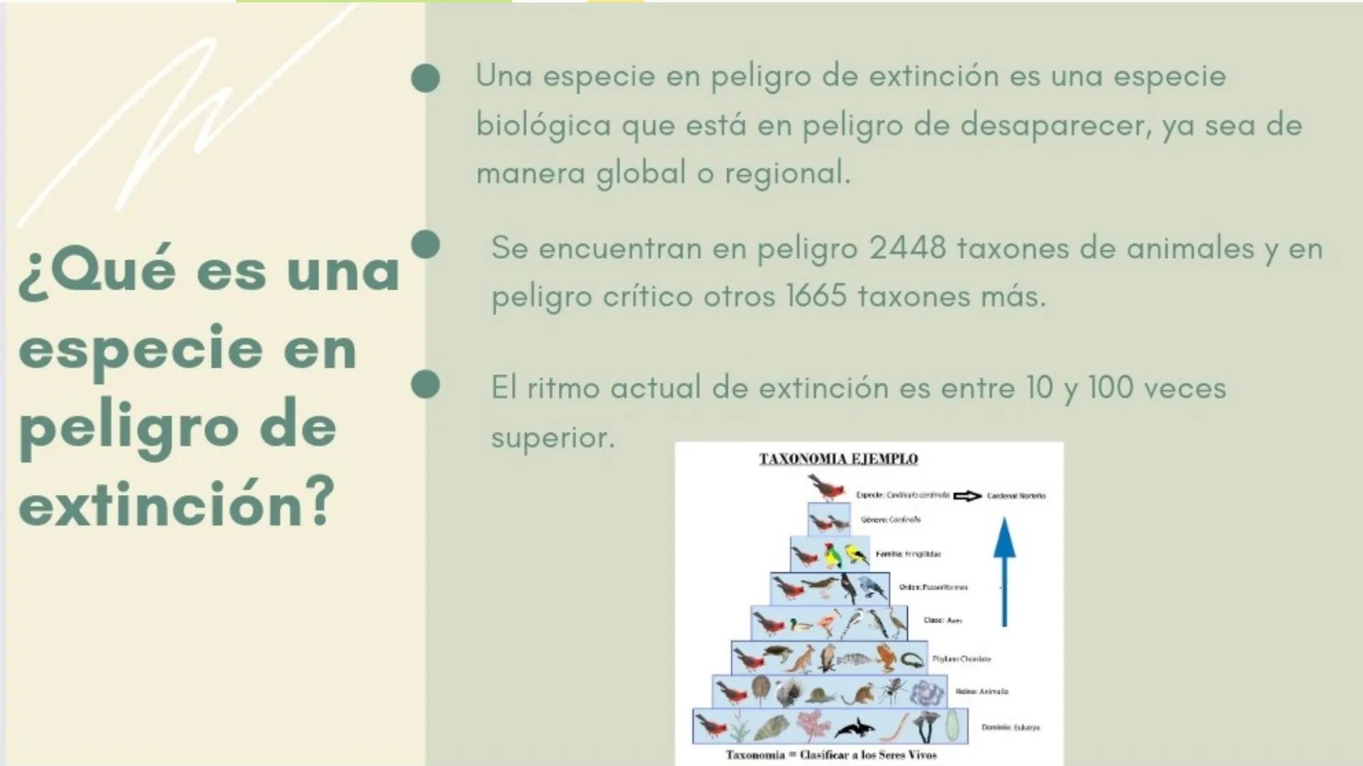 S
ANIMALES
EN
PELIGRO
DE
EXTINCIÓN
Sara Avilés Jiménez
1ºQ ÍNDICE
¿Qué es una especie en
peligro de extinción?
Causas
Conservación de especi