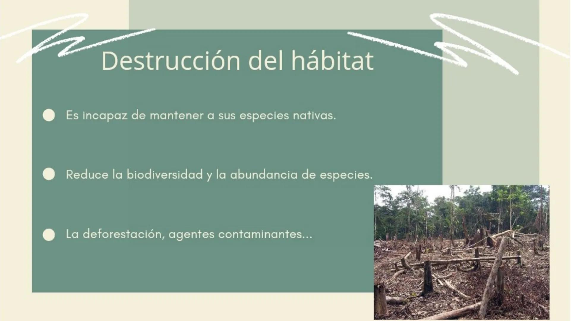 S
ANIMALES
EN
PELIGRO
DE
EXTINCIÓN
Sara Avilés Jiménez
1ºQ ÍNDICE
¿Qué es una especie en
peligro de extinción?
Causas
Conservación de especi