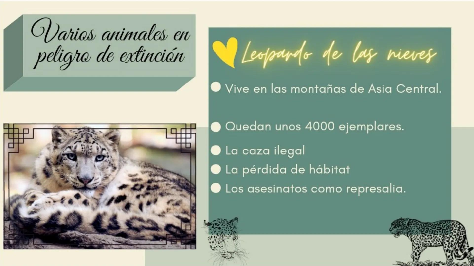 S
ANIMALES
EN
PELIGRO
DE
EXTINCIÓN
Sara Avilés Jiménez
1ºQ ÍNDICE
¿Qué es una especie en
peligro de extinción?
Causas
Conservación de especi
