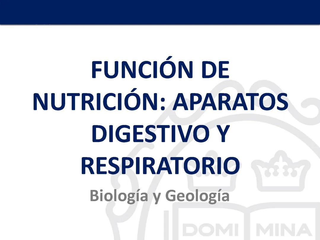 Biología y Geología 3 ESO - Resumen Nutrición