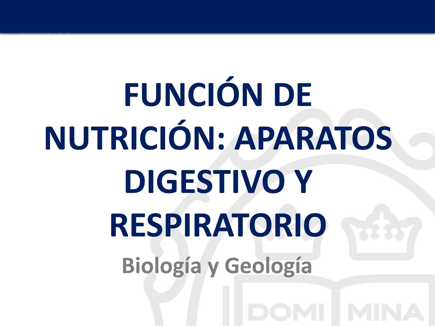 # FUNCIÓN DE
# NUTRICIÓN: APARATOS
# DIGESTIVO Y
# RESPIRATORIO
Biología y Geología
DOMI MINA # Función de nutrición: aparatos digestivo y