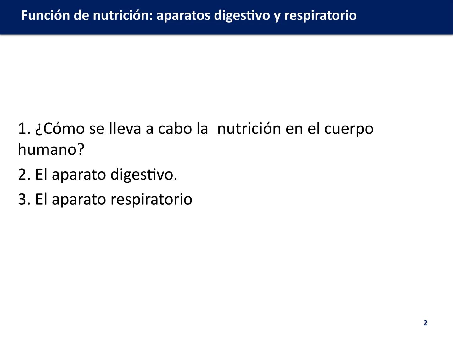 # FUNCIÓN DE
# NUTRICIÓN: APARATOS
# DIGESTIVO Y
# RESPIRATORIO
Biología y Geología
DOMI MINA # Función de nutrición: aparatos digestivo y