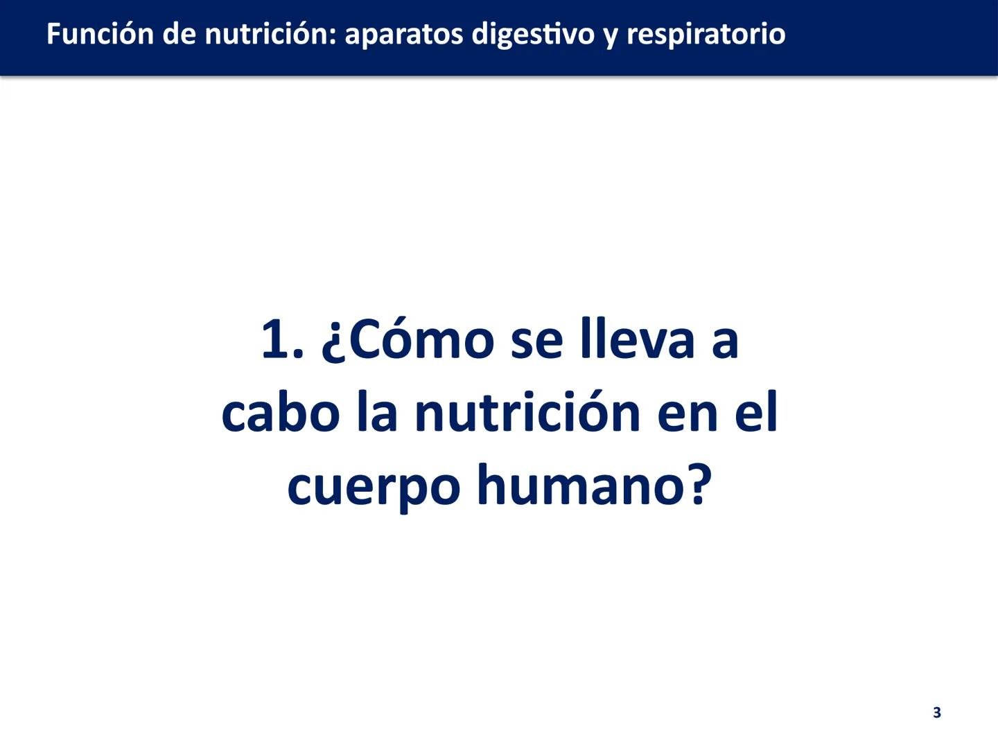 # FUNCIÓN DE
# NUTRICIÓN: APARATOS
# DIGESTIVO Y
# RESPIRATORIO
Biología y Geología
DOMI MINA # Función de nutrición: aparatos digestivo y