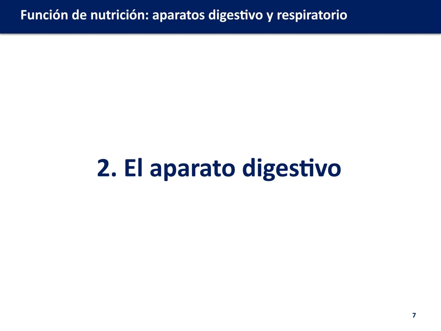 # FUNCIÓN DE
# NUTRICIÓN: APARATOS
# DIGESTIVO Y
# RESPIRATORIO
Biología y Geología
DOMI MINA # Función de nutrición: aparatos digestivo y