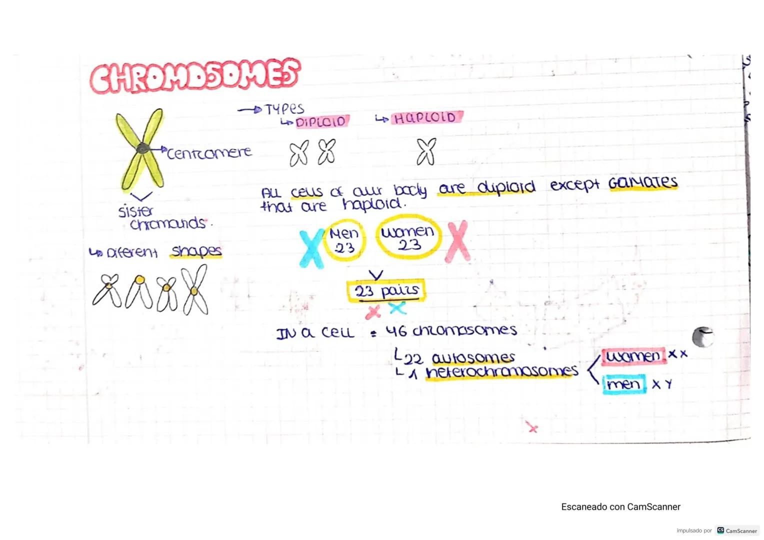 CELLS
CELL THEORY-
• Cells are the STRUCTURAL units of Living things..
• Ceus are the FUNCTIONAL Units of living things
the UNITS of origin
