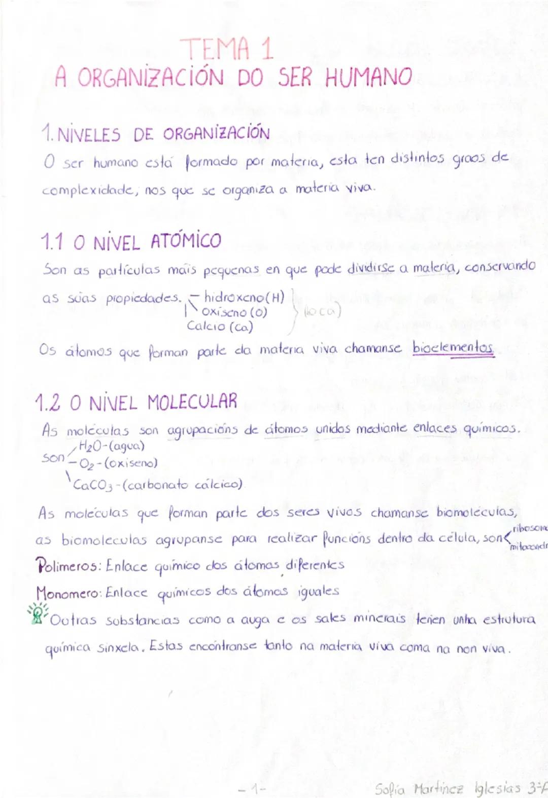 TEMA 1
A ORGANIZACIÓN DO SER HUMANO
1. NIVELES DE ORGANIZACIÓN
O ser humano está formado por materia, esta ten distintos
complexidade, nos q