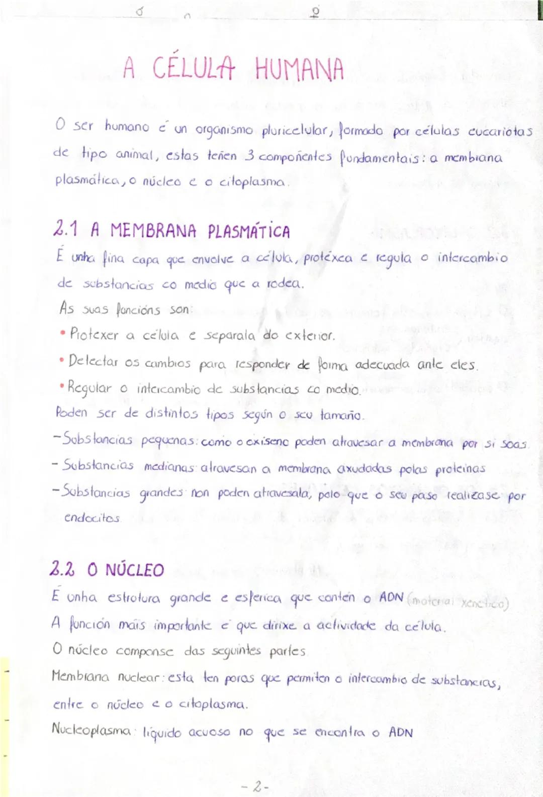 TEMA 1
A ORGANIZACIÓN DO SER HUMANO
1. NIVELES DE ORGANIZACIÓN
O ser humano está formado por materia, esta ten distintos
complexidade, nos q