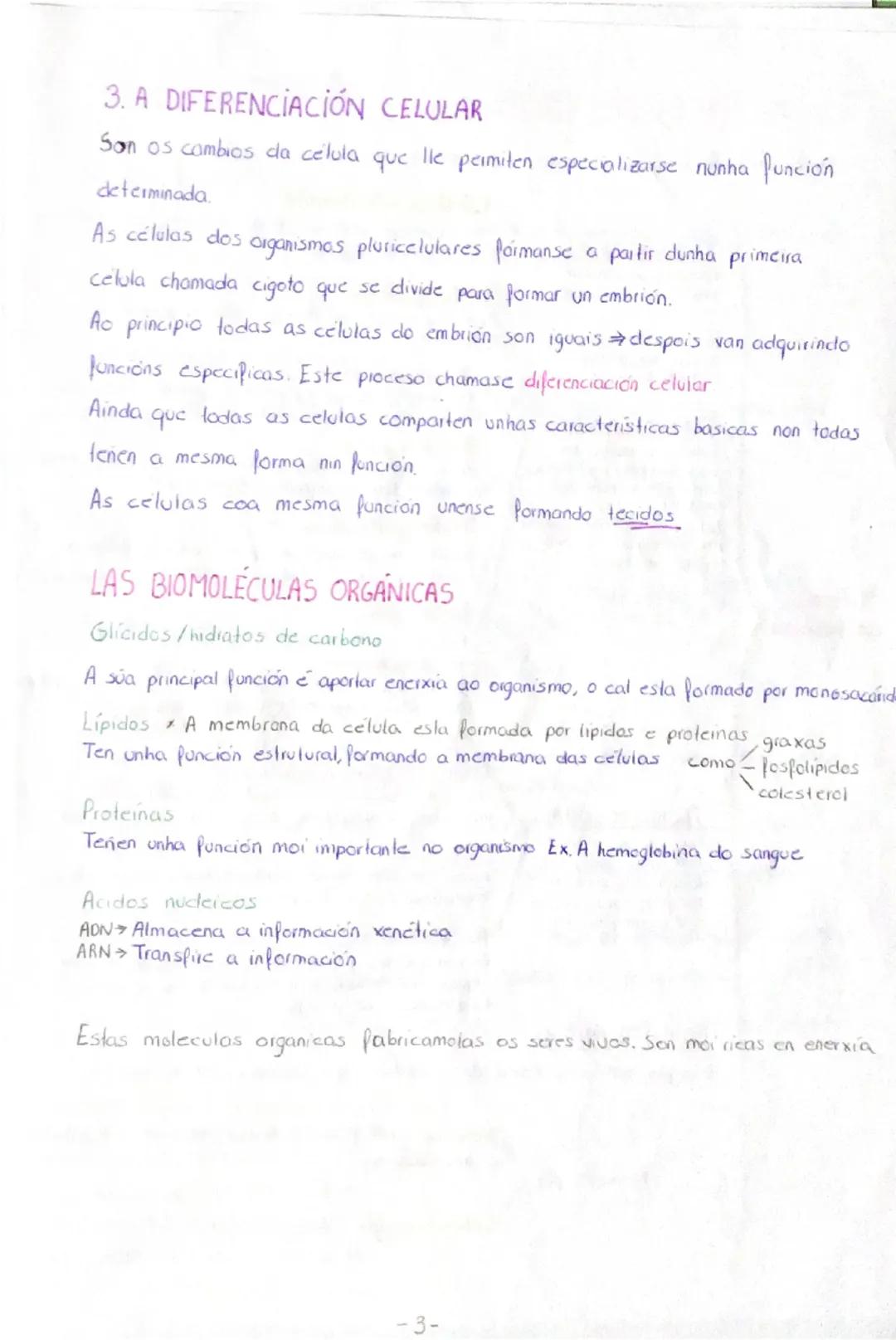 TEMA 1
A ORGANIZACIÓN DO SER HUMANO
1. NIVELES DE ORGANIZACIÓN
O ser humano está formado por materia, esta ten distintos
complexidade, nos q