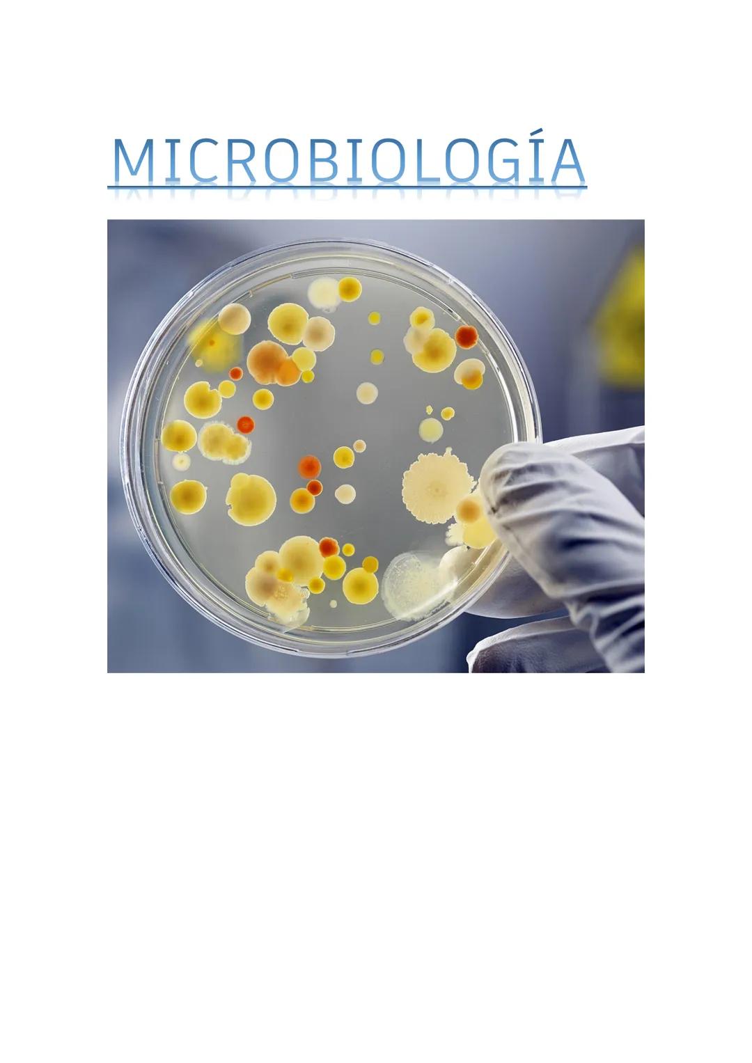 MICROBIOLOGÍA Índice
Página 1...
Página 2.......
Página 3.....
Tipos según medio
Tipos según finalidad
Página 4...
Página 5...........…....…