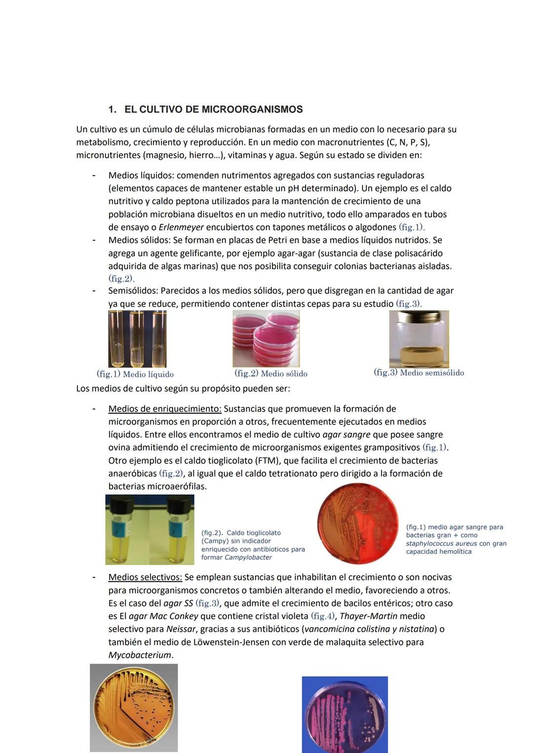 MICROBIOLOGÍA Índice
Página 1...
Página 2.......
Página 3.....
Tipos según medio
Tipos según finalidad
Página 4...
Página 5...........…....…