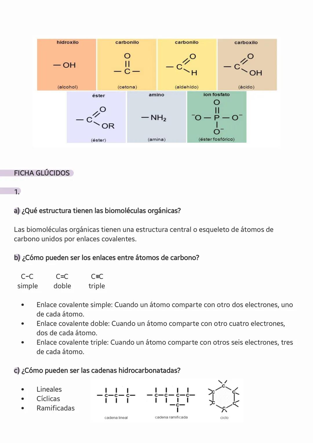 # LOS
## GLÚCIDOS
Angelina Dosinchuk 1CTA # 1. INTRODUCCIÓN
22.02.2023
Las biomoléculas orgánicas tienen una estructura central o esquelet
