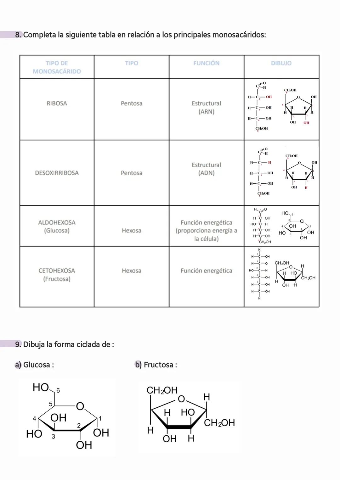 # LOS
## GLÚCIDOS
Angelina Dosinchuk 1CTA # 1. INTRODUCCIÓN
22.02.2023
Las biomoléculas orgánicas tienen una estructura central o esquelet