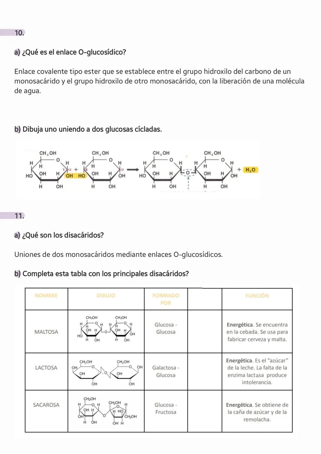 # LOS
## GLÚCIDOS
Angelina Dosinchuk 1CTA # 1. INTRODUCCIÓN
22.02.2023
Las biomoléculas orgánicas tienen una estructura central o esquelet