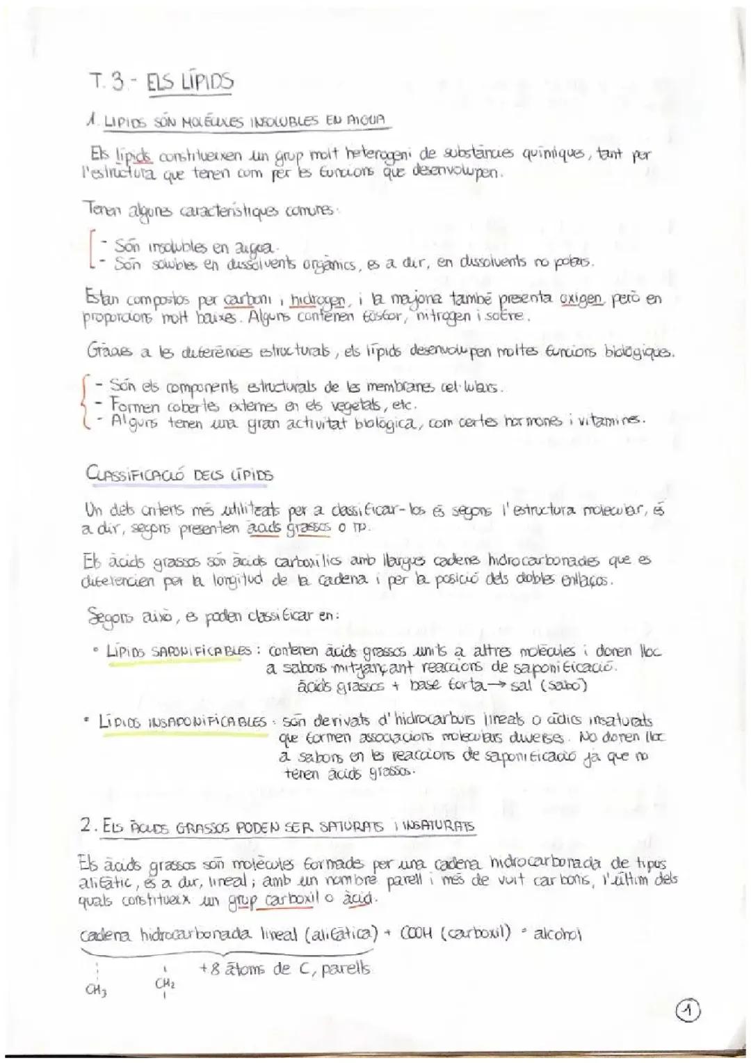 Tema 3 Biología — Els lípids. (Apuntes en valenciano)