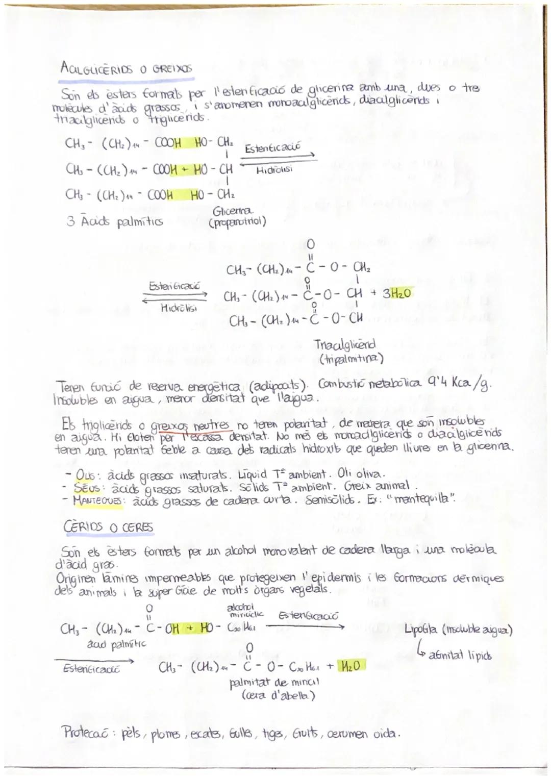 T.3.- ELS LÍPIDS
A. LIPIDS SÓN MOLÉCULES INSOLUBLES EN AIGUA
Els lipids constitueixen un grup molt heterogeni de substancies químiques, tant