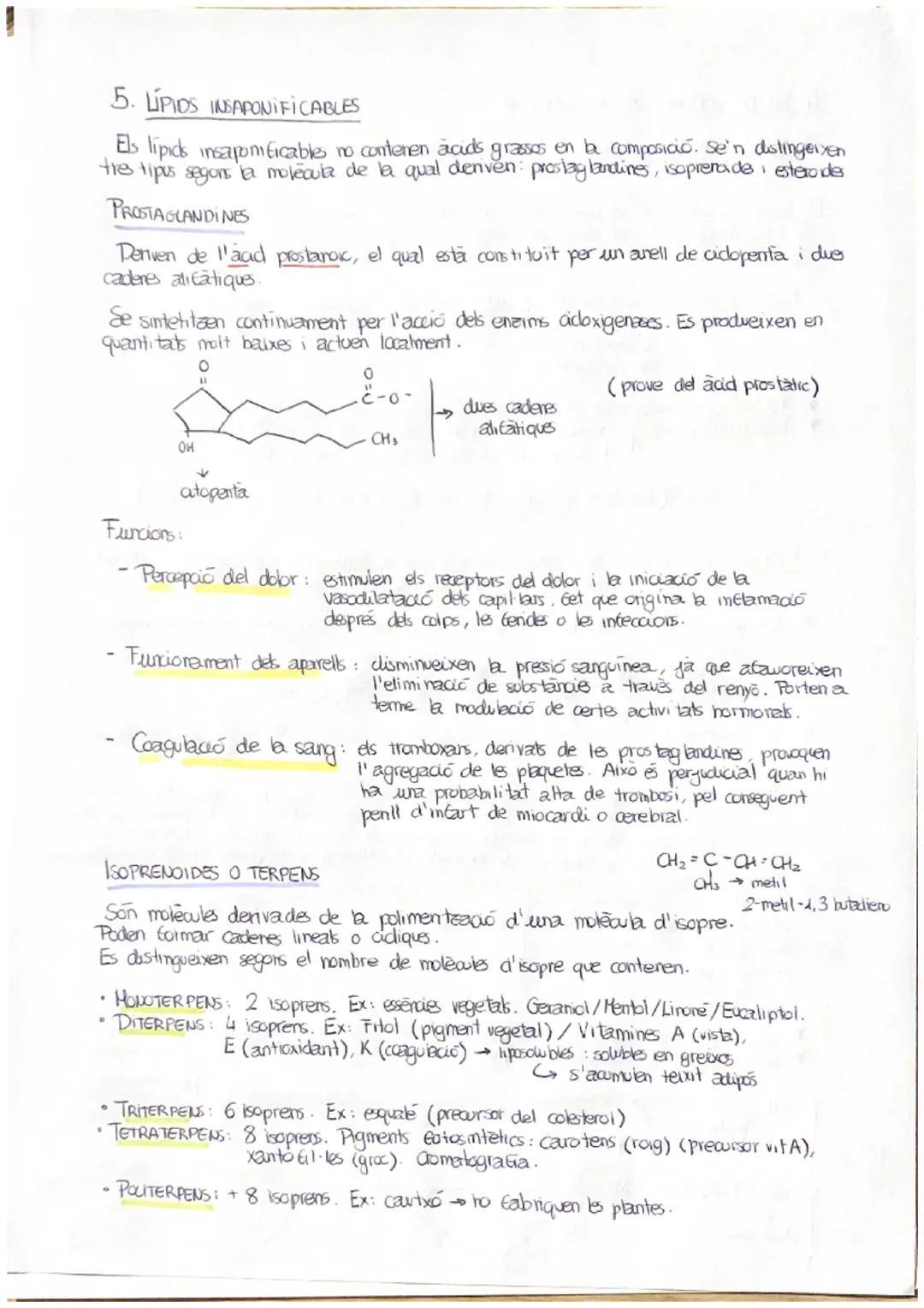 T.3.- ELS LÍPIDS
A. LIPIDS SÓN MOLÉCULES INSOLUBLES EN AIGUA
Els lipids constitueixen un grup molt heterogeni de substancies químiques, tant