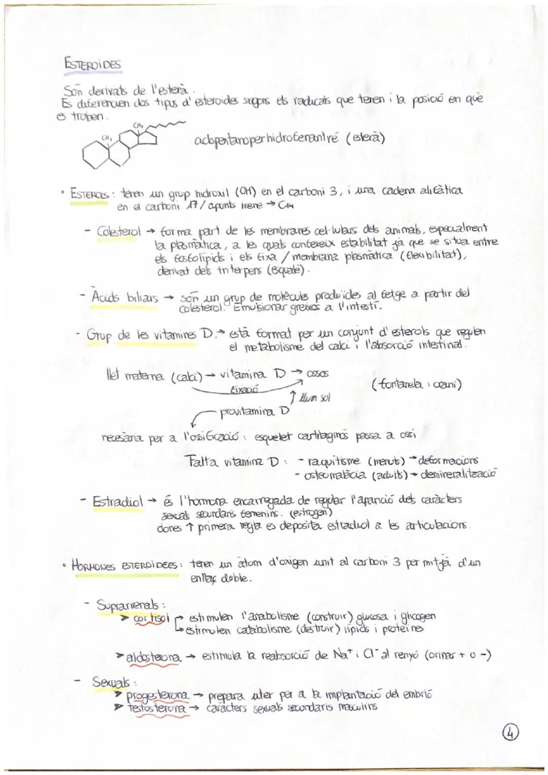 T.3.- ELS LÍPIDS
A. LIPIDS SÓN MOLÉCULES INSOLUBLES EN AIGUA
Els lipids constitueixen un grup molt heterogeni de substancies químiques, tant