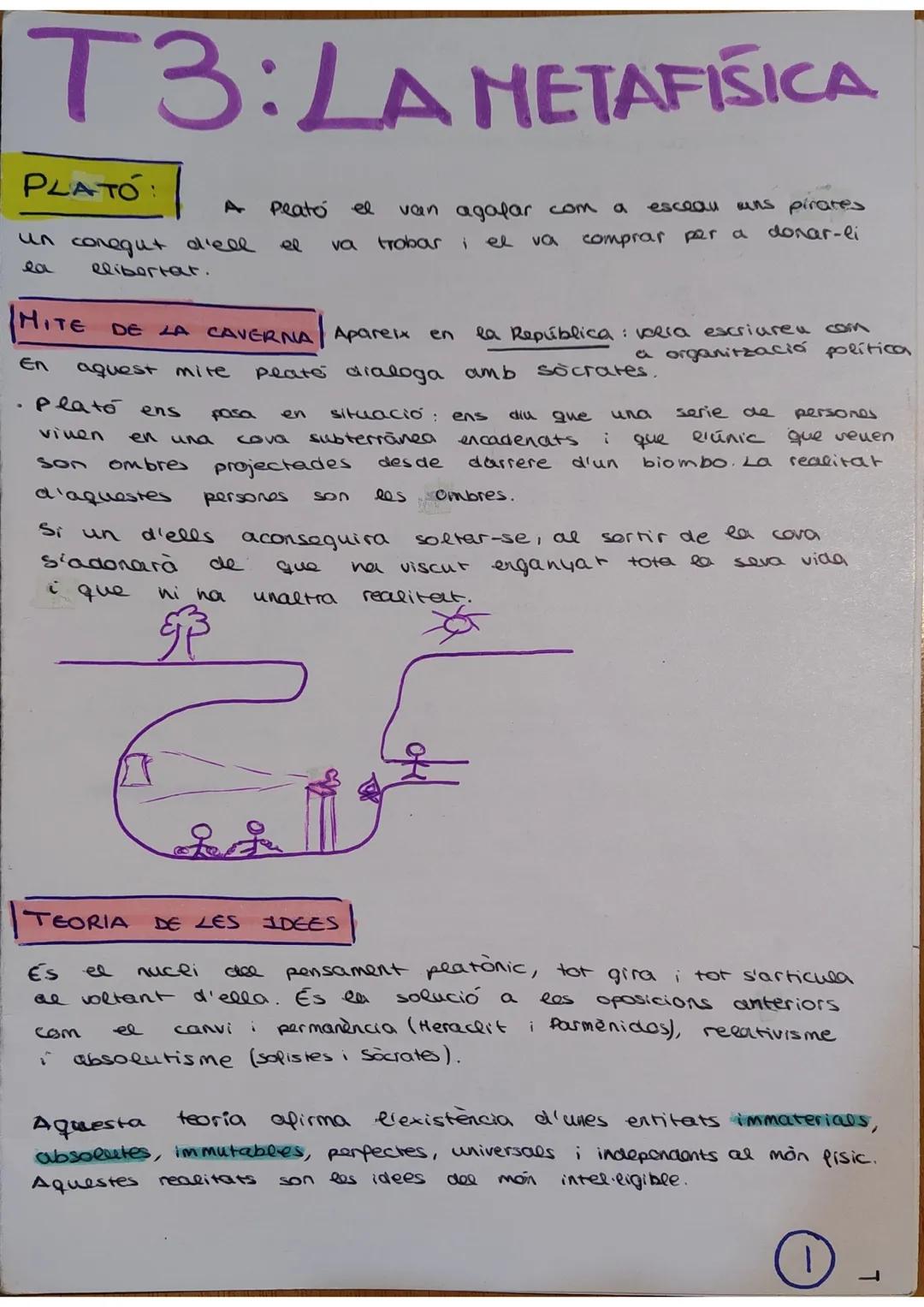 T3: LA METAFISICA
PLATO:
un conegut d'ell
HITE
En
elibertat.
plato
viuen
son
DE LA CAVERNA Apareix en
aquest mite
ens
d'aquestes
Si un
s'ado
