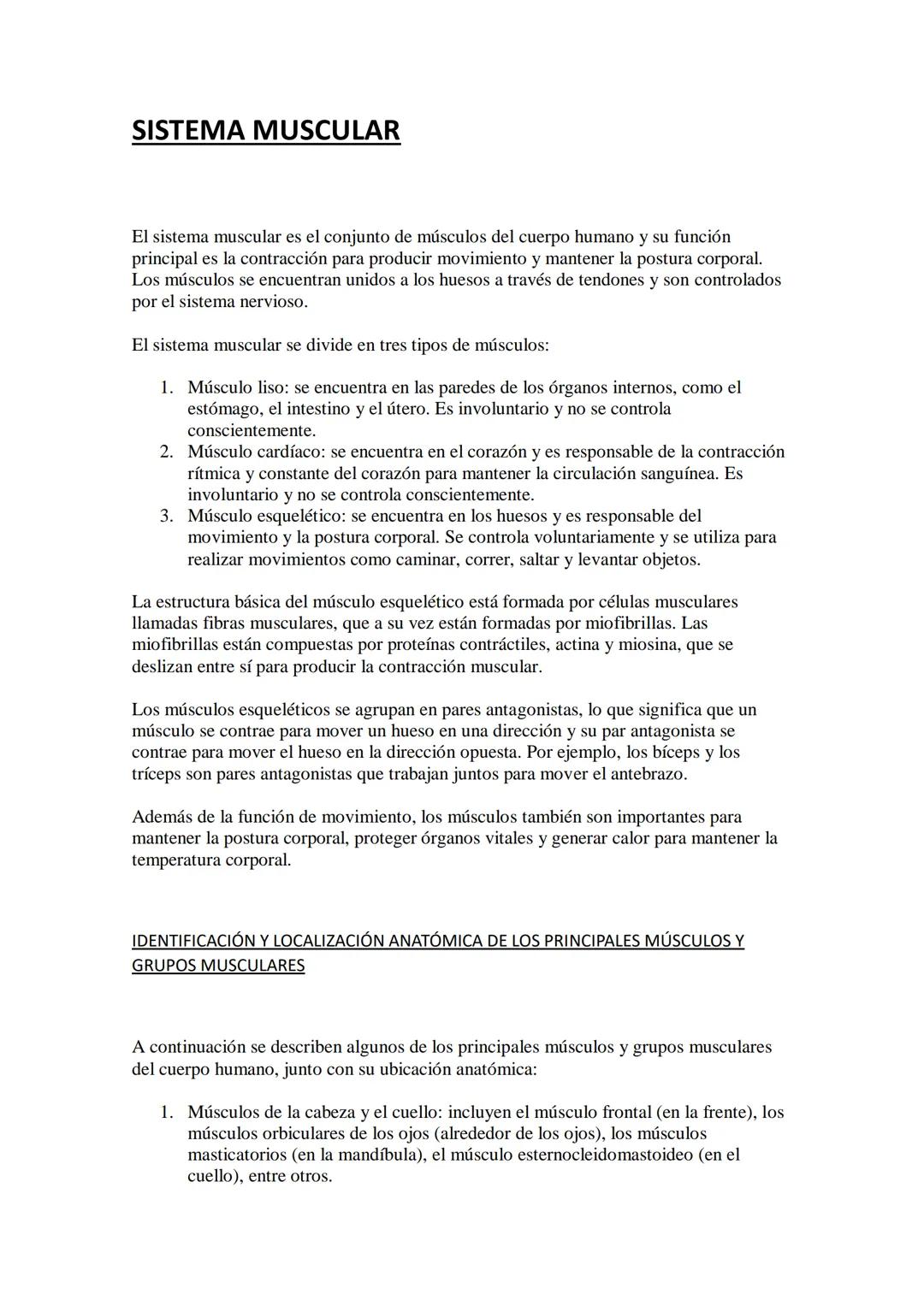 SISTEMA MUSCULAR
El sistema muscular es el conjunto de músculos del cuerpo humano y su función
principal es la contracción para producir mov