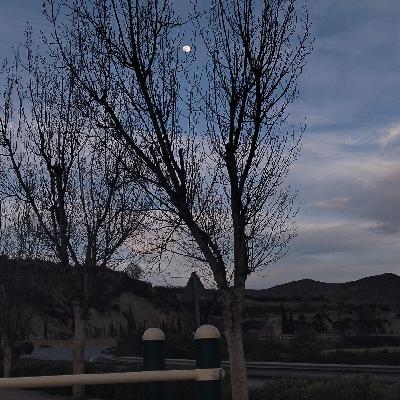 user profile picture